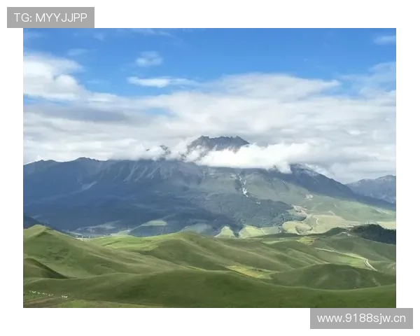 《NBA最新赛季动向分析 球队阵容变动与新秀表现全方位解读》 - 副本 - 副本 (2)