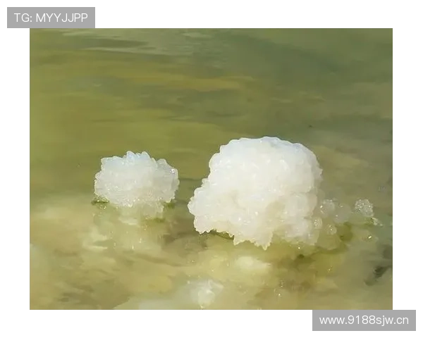 《深入剖析体育赛事背后的战术布局与球员心理素质》 - 副本 - 副本 - 副本